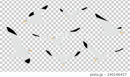 簡單的海鷗套裝插圖 2 140146457