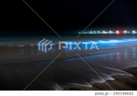 湘南の夜光虫 140146682