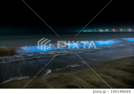 湘南の夜光虫 140146684