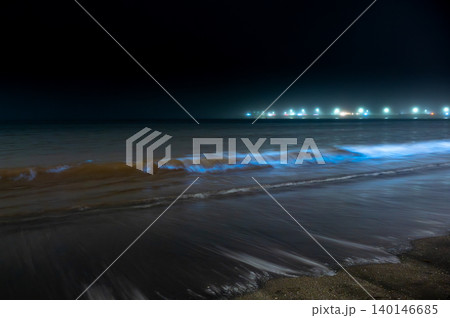 湘南の夜光虫 湘南の夜光虫 140146685