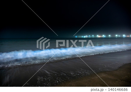 湘南の夜光虫 湘南の夜光虫 140146686