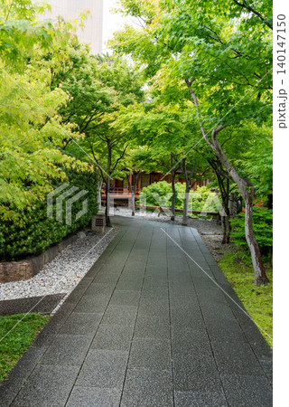 Rainy Garden Path in a Traditional Japanese Garden with Fresh Green Trees Rainy Garden Path in a Traditional Japanese Garden with Fresh Green Trees 140147150