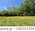 青空と草原と樹木の風景 140147209