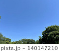 初夏の青空と樹木の風景 140147210