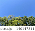 初夏の青空と樹木の風景 140147211