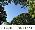 初夏の青空と樹木の風景 140147212