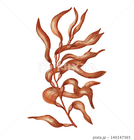 Watercolor illustration of underwater plants, seaweed, corals. Colorful ocean flora. Marine biology and aquarium decoration elements. Suitable for design, prints, postcards, sea travel Watercolor illustration of underwater plants, seaweed, corals. Colorful ocean flora. Marine biology and aquarium decoration elements. Suitable for design, prints, postcards, sea travel 140147365