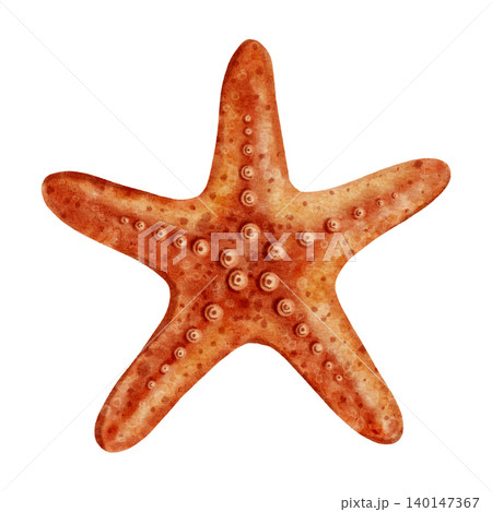 Watercolor illustration of an orange starfish with detailed texture. Sea star perfect for prints, postcards, sea travel,  jewelry or marine design. Children's, nautical, travel themes. 140147367
