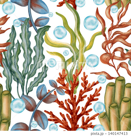 Detailed watercolor seamless pattern featuring various underwater plants, seaweed, red corals, blue bubbles. Children's, nautical, travel themes. Suitable for design, prints, postcards, sea travel Detailed watercolor seamless pattern featuring various underwater plants, seaweed, red corals, blue bubbles. Children's, nautical, travel themes. Suitable for design, prints, postcards, sea travel 140147413