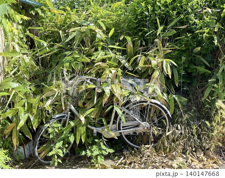 草木に覆われた放置自転車の風景 草木に覆われた放置自転車の風景 140147668