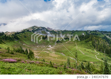 Mount Rainier mountain landscape. Forest nature. Nature in mountain countryside. Scenery landscape of mountain. Scenery autumn countryside. Tahoma mountain landscape with forest. Rolling hills Mount Rainier mountain landscape. Forest nature. Nature in mountain countryside. Scenery landscape of mountain. Scenery autumn countryside. Tahoma mountain landscape with forest. Rolling hills 140147870