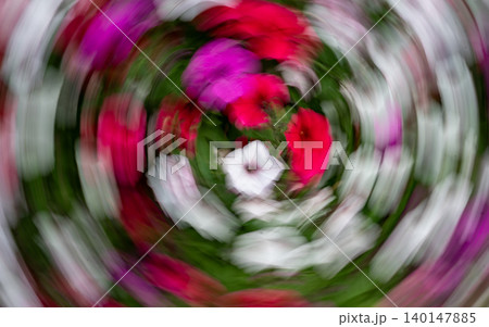 Abstract Floral Spiral in Pink and White Abstract Floral Spiral in Pink and White 140147885