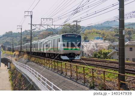 【東海道線 E233系と桜 早川駅付近】 【東海道線 E233系と桜 早川駅付近】 140147939