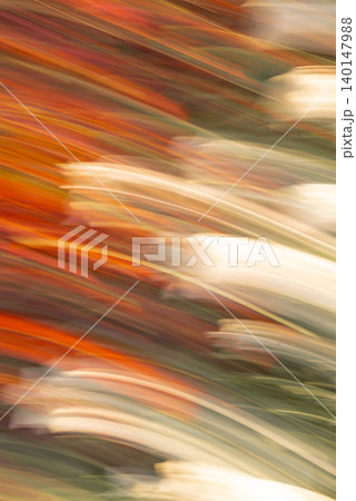Abstract Autumn Flow of Orange and White Flowers Abstract Autumn Flow of Orange and White Flowers 140147988