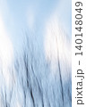 Abstract Bare Trees in Motion Against Soft Evening Sky 140148049