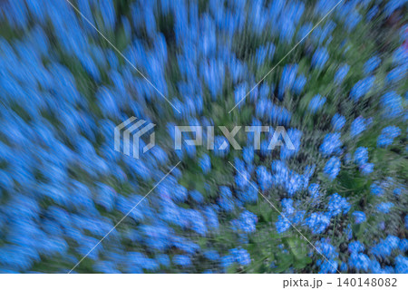 Dreamlike Blue Forget-Me-Not Flowers in Motion Dreamlike Blue Forget-Me-Not Flowers in Motion 140148082