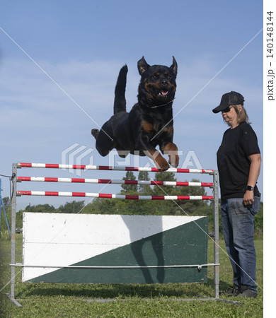 training of jumping 140148144