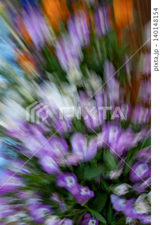 Dreamy Purple Flowers with Intentional Camera Movement Dreamy Purple Flowers with Intentional Camera Movement 140148154