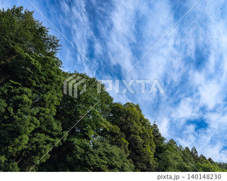 青空と森林の風景 コピースペースのある自然背景 青空と森林の風景 コピースペースのある自然背景 140148230