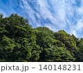 青空の下に広がる森林 SDGsと環境保護イメージ 青空の下に広がる森林 SDGsと環境保護イメージ 140148231