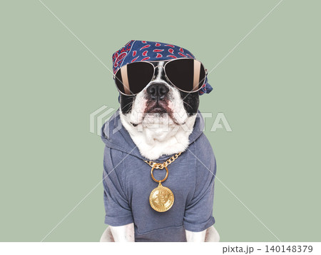 Cute French Bulldog and a gold Bitcoin medallion Cute French Bulldog and a gold Bitcoin medallion 140148379