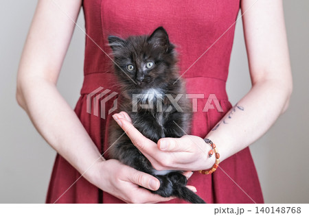 Young woman in red dress gently holding a small fluffy black kitten with white chest patch. Ideal for themes of pet care, human-animal bond Young woman in red dress gently holding a small fluffy black kitten with white chest patch. Ideal for themes of pet care, human-animal bond 140148768