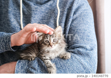 Man in blue sweater gently petting a fluffy tabby kitten. Heartwarming shot emphasizing trust, pet care and bond between humans and animals Man in blue sweater gently petting a fluffy tabby kitten. Heartwarming shot emphasizing trust, pet care and bond between humans and animals 140148770