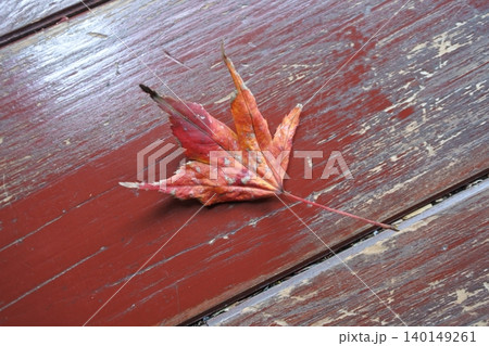 紅葉、落ち葉、晩秋、一葉 140149261