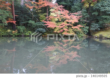紅葉、落ち葉、晩秋 紅葉、落ち葉、晩秋 140149505