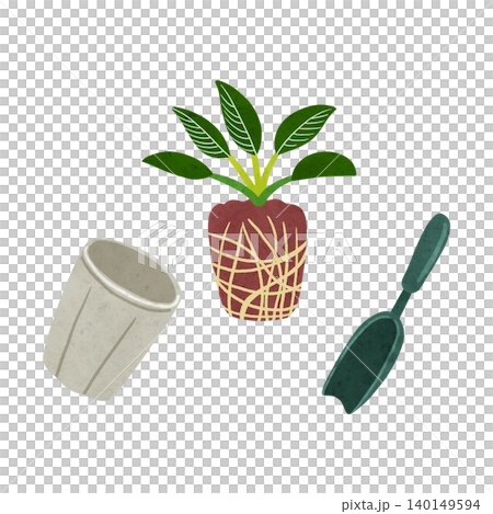 フィロデンドロン・バーキンの植え替え 水彩風手描きイラスト フィロデンドロン・バーキンの植え替え 水彩風手描きイラスト 140149594