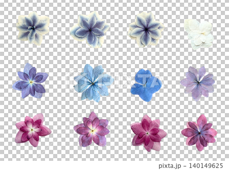 Transparent background pressed hydrangea material set (blue, pink, purple variations) Transparent background pressed hydrangea material set (blue, pink, purple variations) 140149625