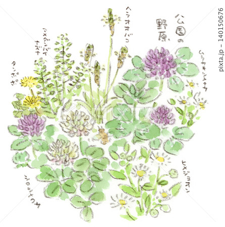 初夏の公園の野原に咲く野の花たちの水彩画 140150676