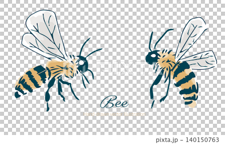 蜜蜂飛行的插圖 蜜蜂飛行的插圖 140150763