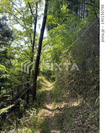 新緑の登山道に差し込む木漏れ日|静かな森のハイキングコース 新緑の登山道に差し込む木漏れ日|静かな森のハイキングコース 140150798