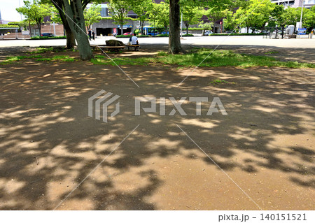 茅ヶ崎中央公園の木陰で休む親子 140151521