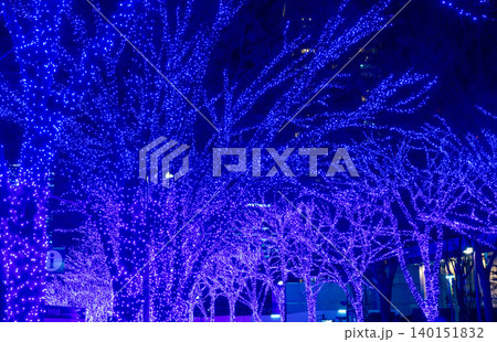 東京・渋谷クリスマスイルミネーション 青の洞窟 東京・渋谷クリスマスイルミネーション 青の洞窟 140151832