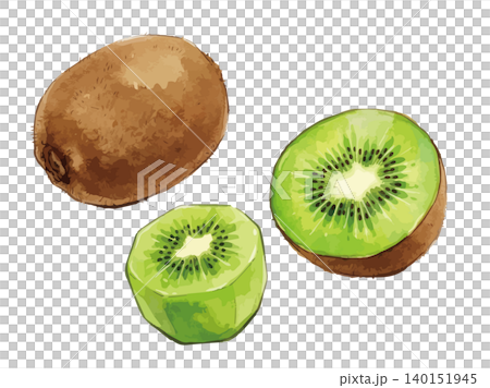A set of illustrations of a mouthwatering green kiwi. A set of illustrations of a mouthwatering green kiwi. 140151945