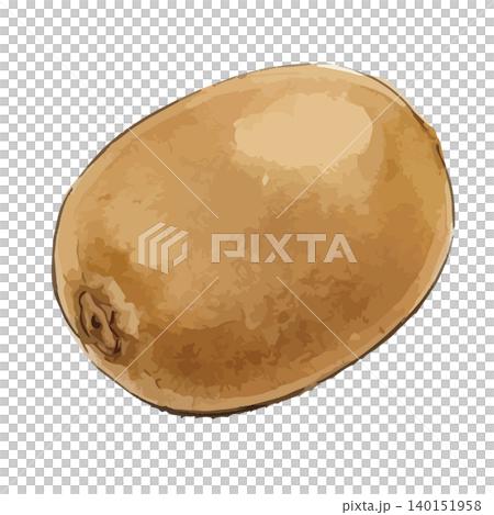 A mouthwatering illustration of a golden kiwi. A mouthwatering illustration of a golden kiwi. 140151958