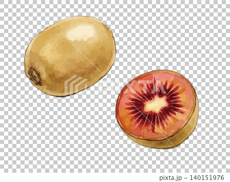 A mouthwatering illustration of a ruby red kiwi. A mouthwatering illustration of a ruby red kiwi. 140151976