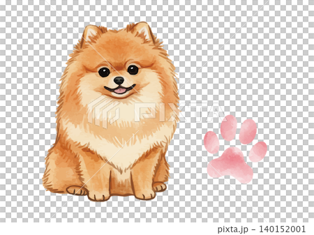 Watercolor-style illustration of a Pomeranian's paw prints 140152001