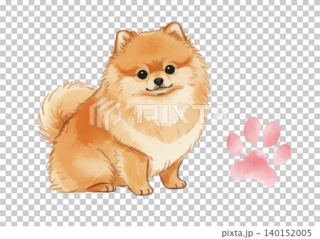 Watercolor-style illustration of a Pomeranian's paw prints 140152005