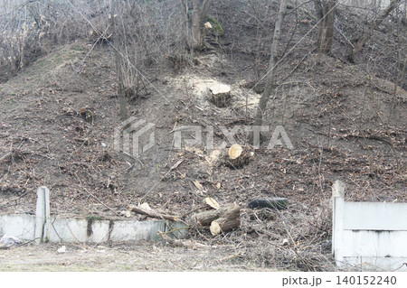 cutting down trees on the hillside. Destruction of the environment 140152240
