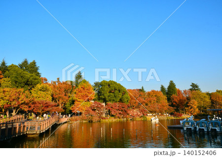 紅葉の井の頭公園 紅葉の井の頭公園 140152406