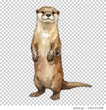 Watercolor-style illustration of an otter Watercolor-style illustration of an otter 140153199