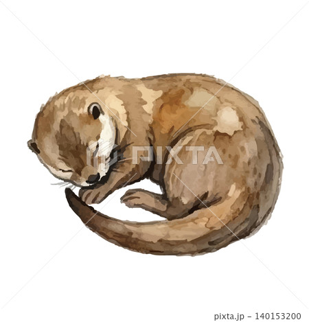 水彩風のカワウソのイラスト 140153200