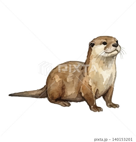 水彩風のカワウソのイラスト 水彩風のカワウソのイラスト 140153201