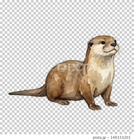 水彩風のカワウソのイラスト 水彩風のカワウソのイラスト 140153201