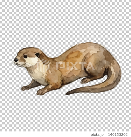 水彩風のカワウソのイラスト 140153202