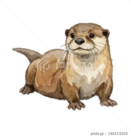 水彩風のカワウソのイラスト 140153203