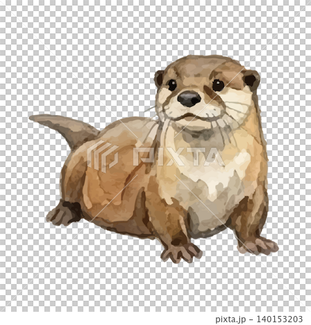 水彩風のカワウソのイラスト 140153203